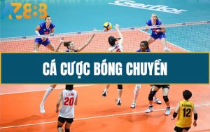 Huong Dan Ca Cuoc Bong Chuyen Tai AZ888 Chi Tiet Danh Cho Tan Thu 1 1 2 1